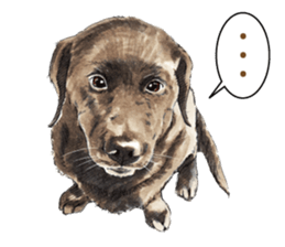 Team Lab Labrador! sticker #9733025