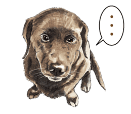 Team Lab Labrador! sticker #9733025