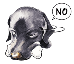 Team Lab Labrador! sticker #9733030