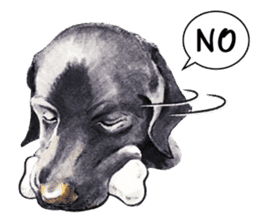 Team Lab Labrador! sticker #9733030