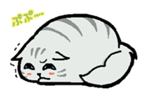 cute chubby cats sticker #9734406