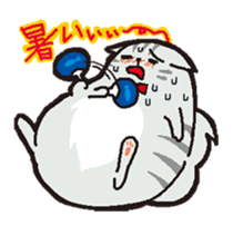 cute chubby cats sticker #9734415