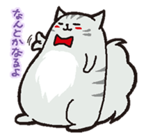cute chubby cats sticker #9734419