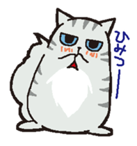 cute chubby cats sticker #9734425