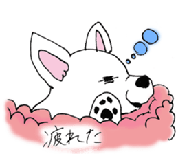 White Chihuahua everyday winter sticker #9735196