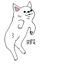 White Chihuahua everyday winter sticker #9735205