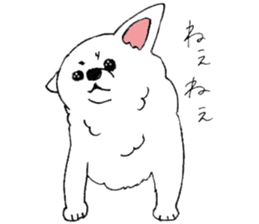 White Chihuahua everyday winter sticker #9735206