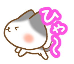 Message of gray cat sticker #9735233