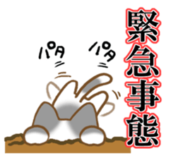 Message of gray cat sticker #9735244