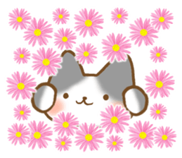 Message of gray cat sticker #9735248