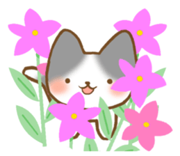 Message of gray cat sticker #9735249