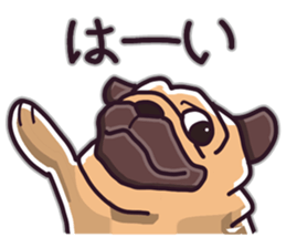 Pug Pug Pug Pug Pug sticker #9737277