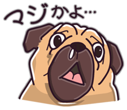 Pug Pug Pug Pug Pug sticker #9737283