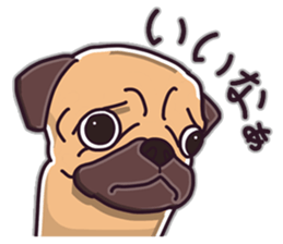 Pug Pug Pug Pug Pug sticker #9737284