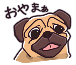 Pug Pug Pug Pug Pug sticker #9737285