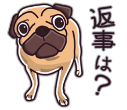 Pug Pug Pug Pug Pug sticker #9737307