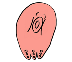 octopus1 sticker #9737637