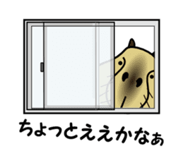 Capybara brothers in Parutom-town 2 sticker #9739037