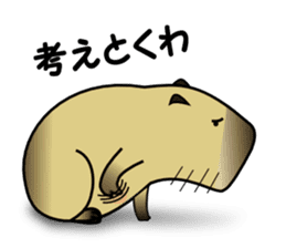 Capybara brothers in Parutom-town 2 sticker #9739039