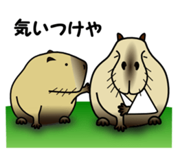 Capybara brothers in Parutom-town 2 sticker #9739059
