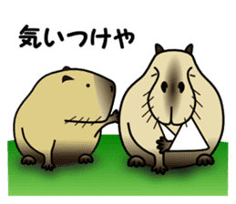 Capybara brothers in Parutom-town 2 sticker #9739059