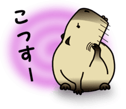 Capybara brothers in Parutom-town 2 sticker #9739061
