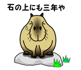 Capybara brothers in Parutom-town 2 sticker #9739069
