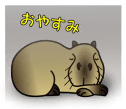Capybara brothers in Parutom-town 2 sticker #9739070