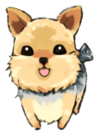 Every day Yorkshire terrier2 sticker #9742192