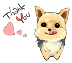 Every day Yorkshire terrier2 sticker #9742193