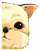 Every day Yorkshire terrier2 sticker #9742196