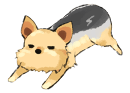 Every day Yorkshire terrier2 sticker #9742199