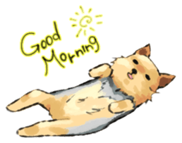 Every day Yorkshire terrier2 sticker #9742204