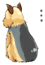 Every day Yorkshire terrier2 sticker #9742206