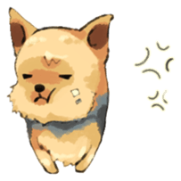 Every day Yorkshire terrier2 sticker #9742211