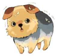 Every day Yorkshire terrier2 sticker #9742212