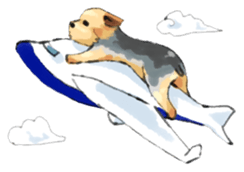 Every day Yorkshire terrier2 sticker #9742220