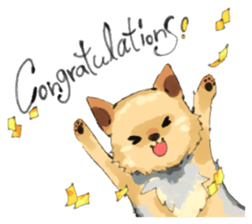 Every day Yorkshire terrier2 sticker #9742224