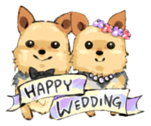 Every day Yorkshire terrier2 sticker #9742226