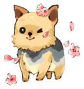 Every day Yorkshire terrier2 sticker #9742227