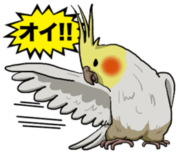 Cockatiel P-chan sticker #10876241