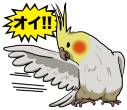 Cockatiel P-chan sticker #10876241