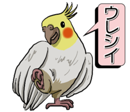 Cockatiel P-chan sticker #10876242