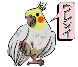 Cockatiel P-chan sticker #10876242