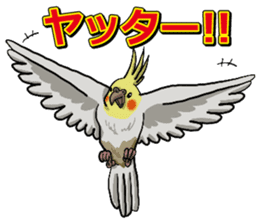 Cockatiel P-chan sticker #10876243