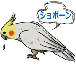 Cockatiel P-chan sticker #10876244