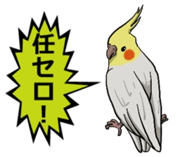 Cockatiel P-chan sticker #10876245