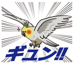 Cockatiel P-chan sticker #10876247