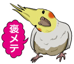 Cockatiel P-chan sticker #10876248