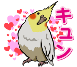 Cockatiel P-chan sticker #10876253